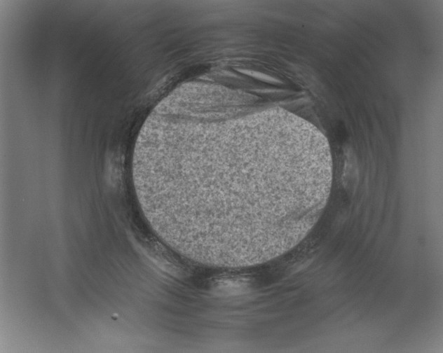 X0000062130263200512301509