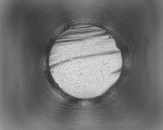 X0000062130264200512301509