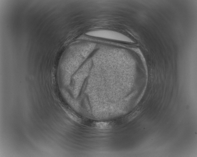 X0000062130265200512301509