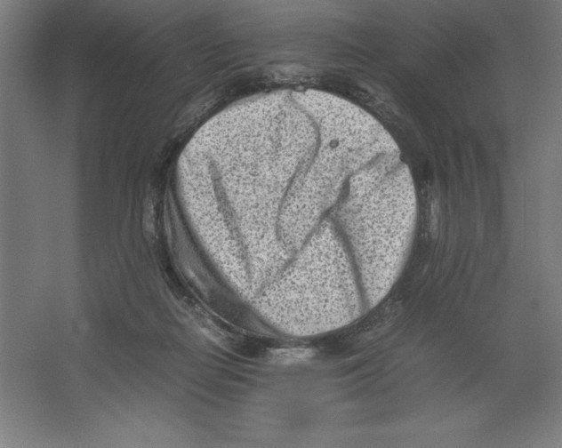 X0000062130266200512301509