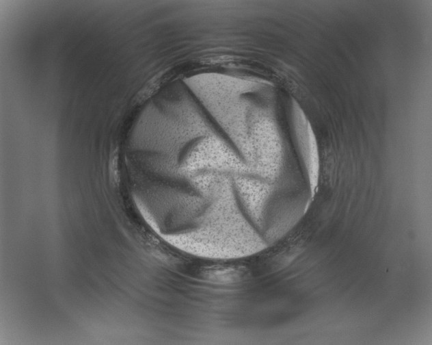 X0000062130267200512301509