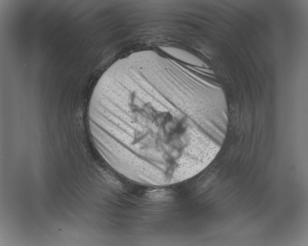 X0000062130269200512301509