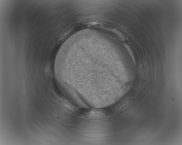 X0000062130270200512301509