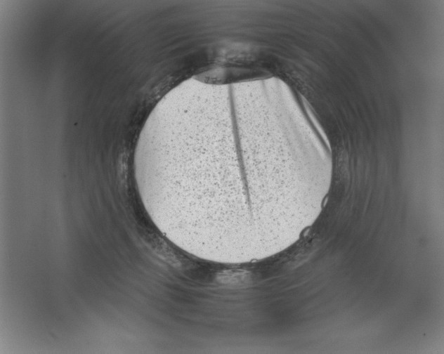 X0000062130271200512301509