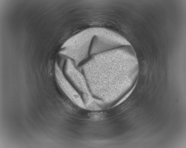 X0000062130273200512301509