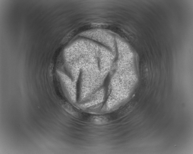 X0000062130275200512301509