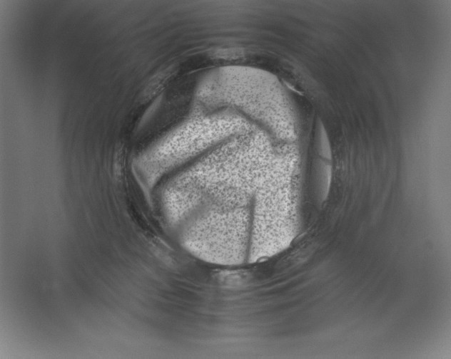 X0000062130277200512301509