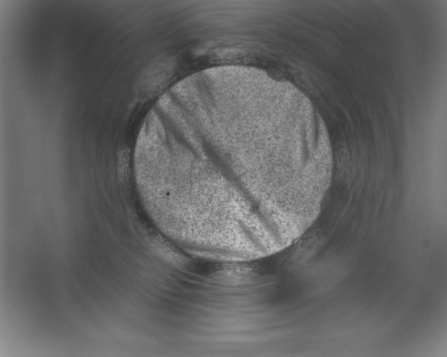 X0000062130278200512301509