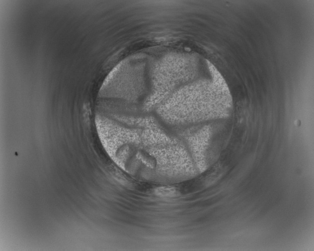 X0000062130279200512301509