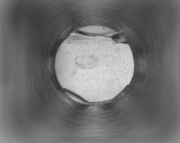 X0000062130280200512301509