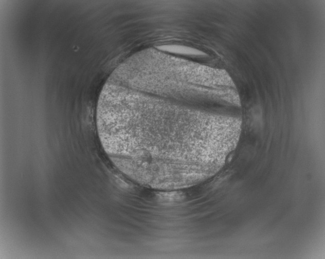 X0000062130281200512301509