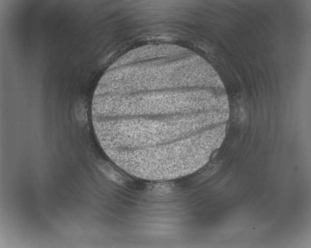 X0000062130282200512301509