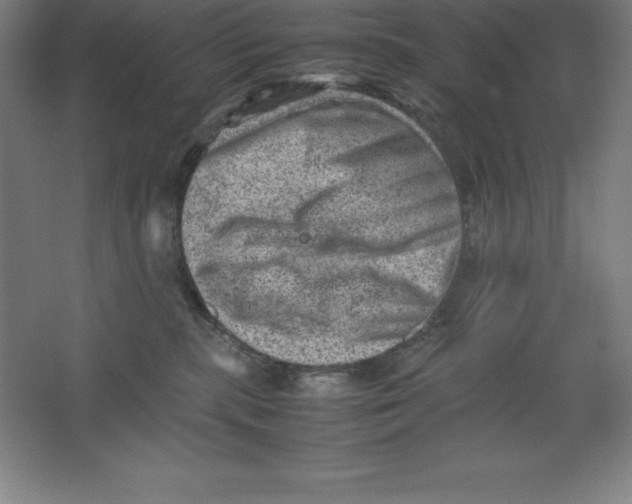 X0000062130283200512301509