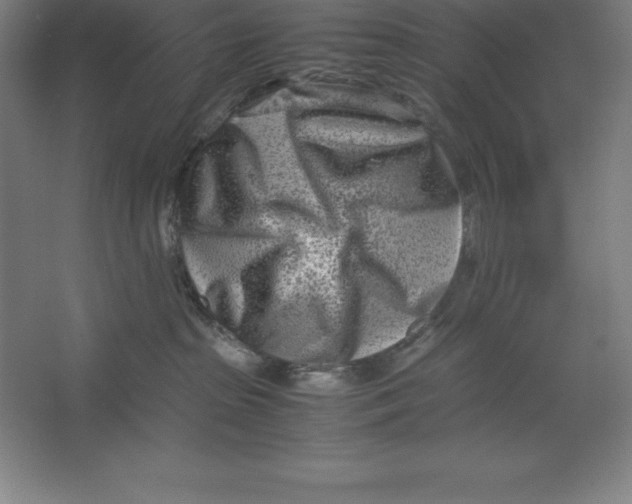 X0000062130285200512301509