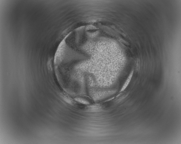 X0000062130286200512301509