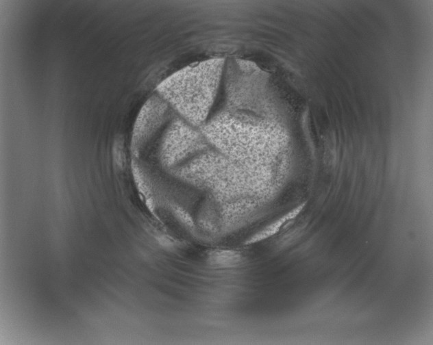 X0000062130287200512301509