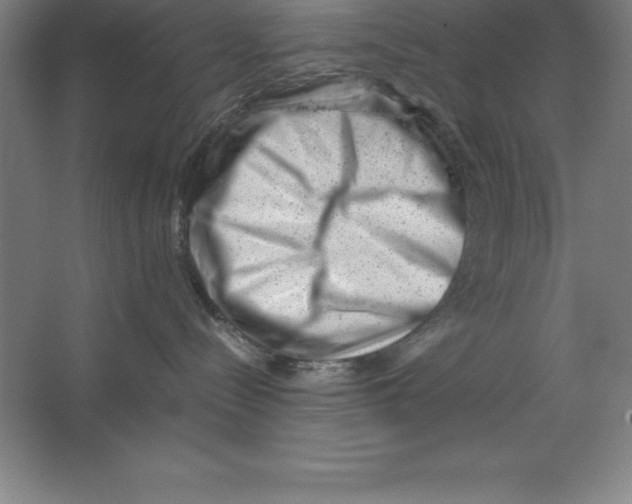 X0000062130288200512301509