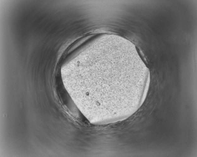 X0000062130289200512301508