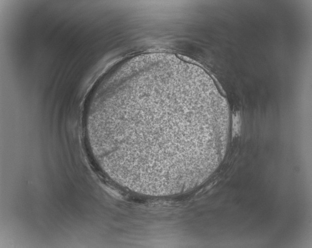 X0000062130291200512301508