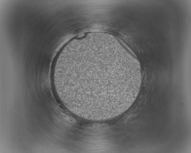 X0000062130292200512301508