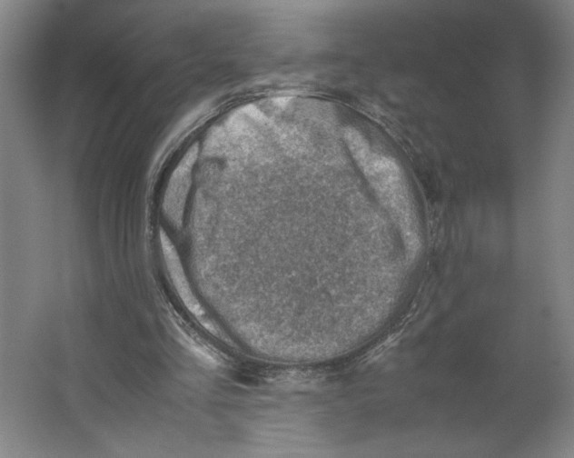 X0000062130293200512301508