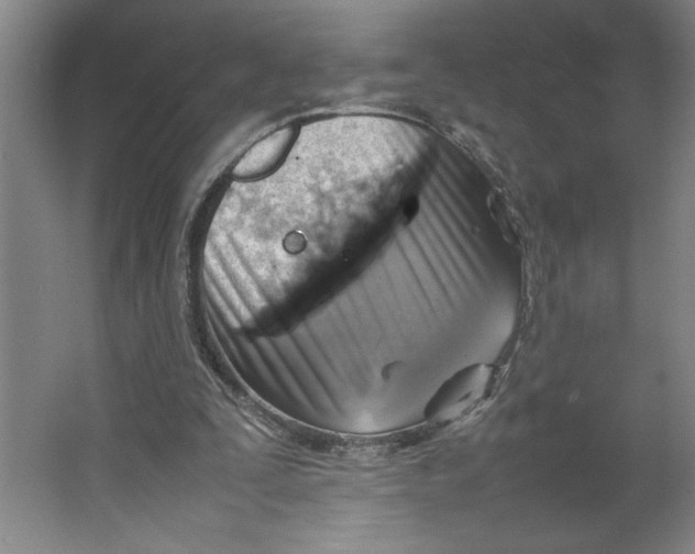 X0000062130295200512301508