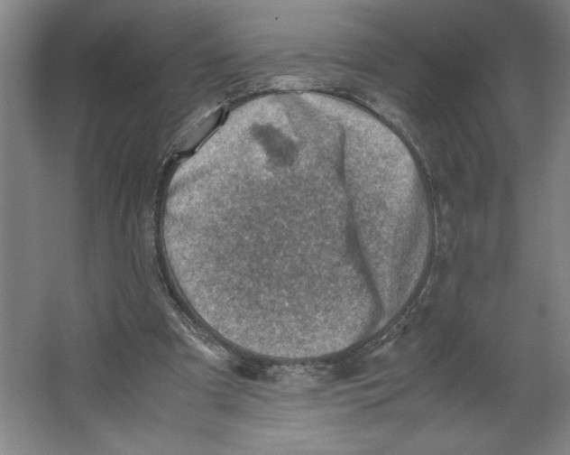 X0000062130297200512301508