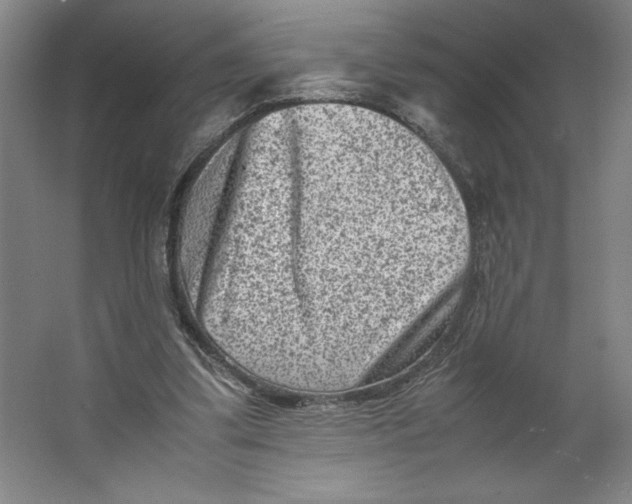 X0000062130299200512301508