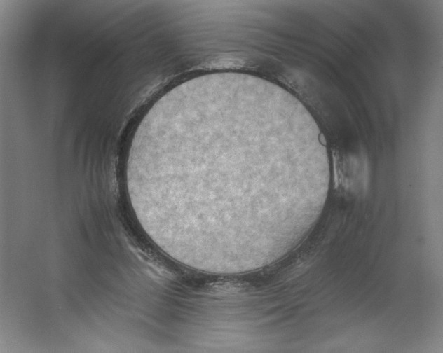 X0000062130300200512301508