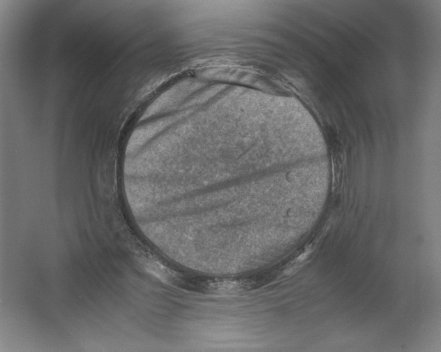 X0000062130301200512301508