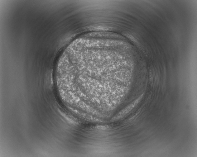 X0000062130302200512301508