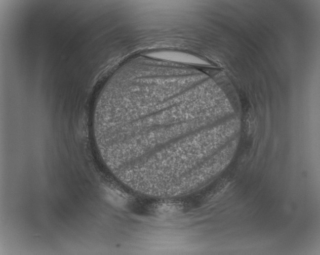 X0000062130303200512301508