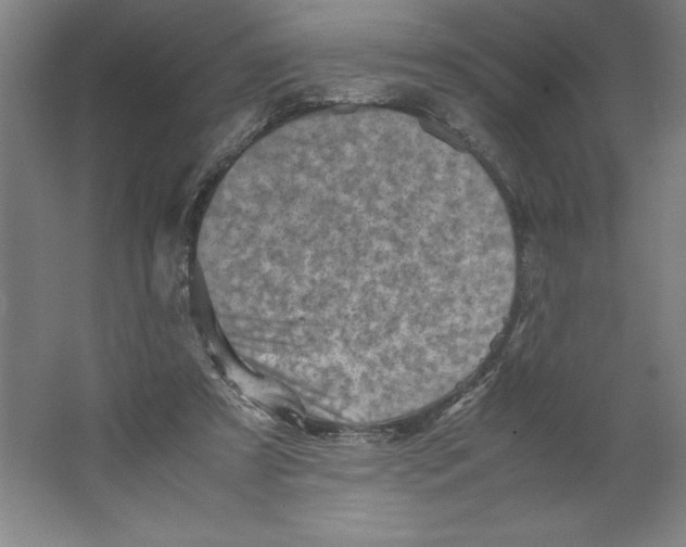 X0000062130305200512301508