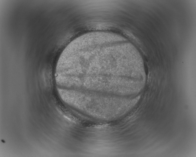 X0000062130306200512301508