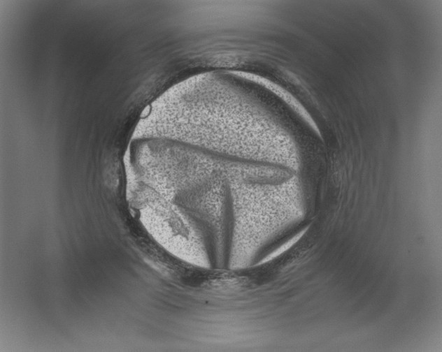 X0000062130307200512301508