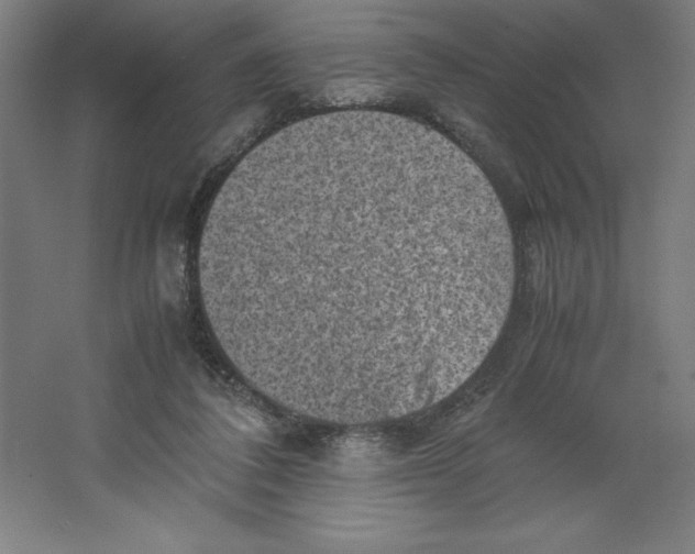 X0000062130308200512301508