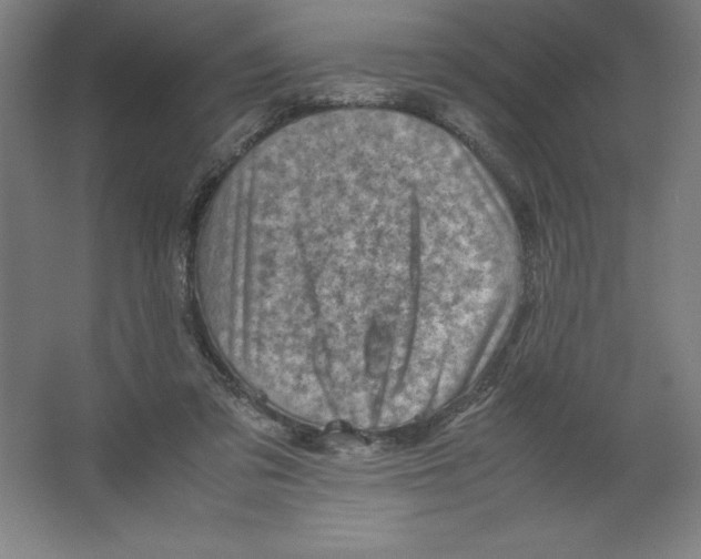 X0000062130309200512301508