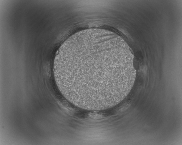 X0000062130311200512301508