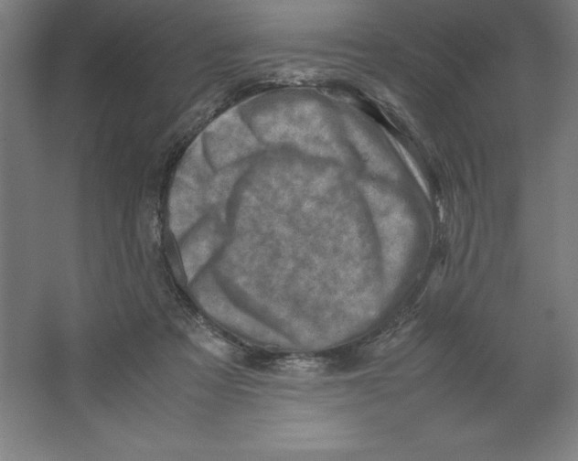 X0000062130313200512301508