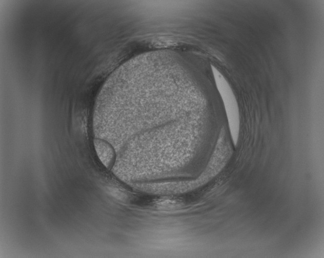 X0000062130315200512301508