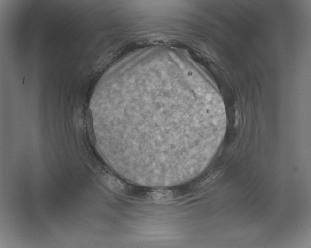 X0000062130317200512301508