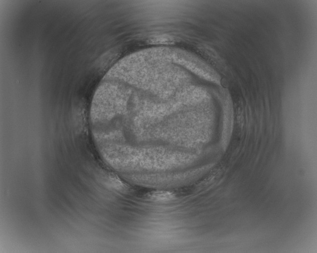 X0000062130322200512301508