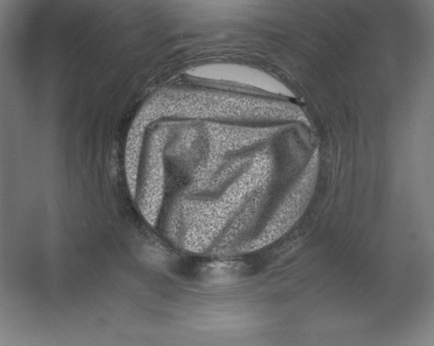 X0000062130323200512301508