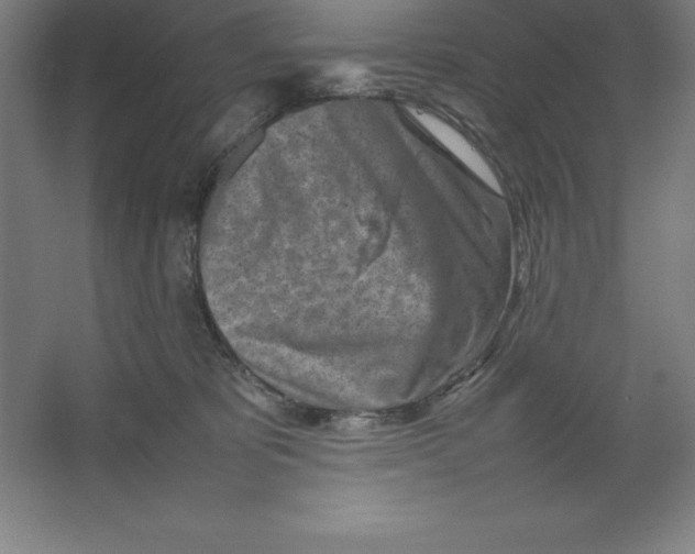 X0000062130325200512301508