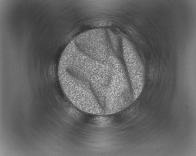 X0000062130326200512301508