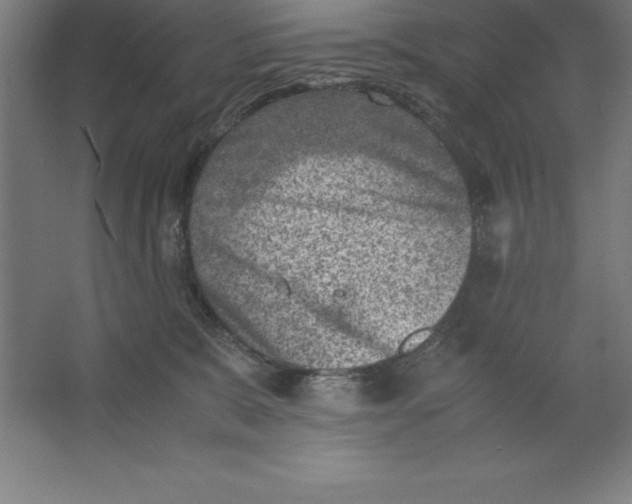 X0000062130327200512301508