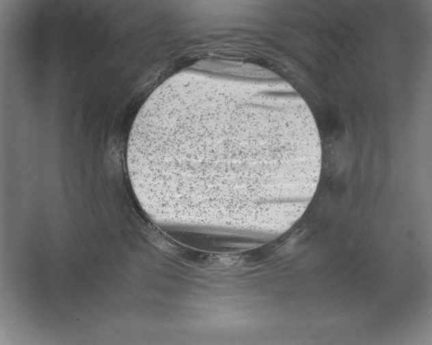 X0000062130329200512301508