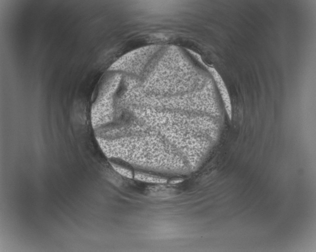 X0000062130331200512301508