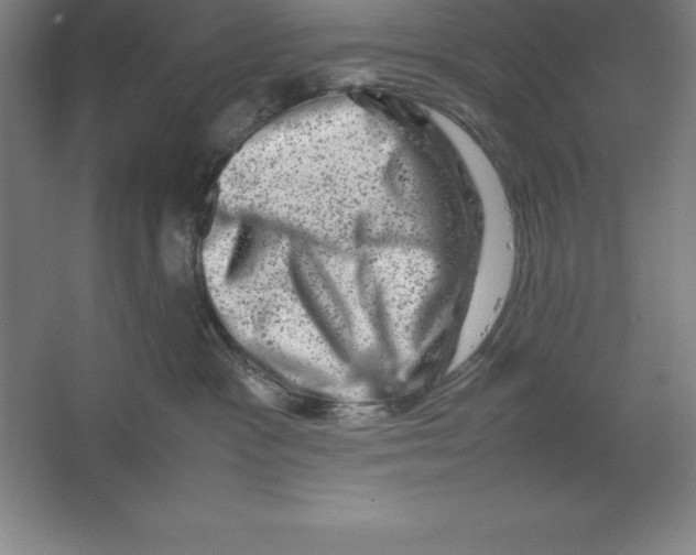 X0000062130333200512301508