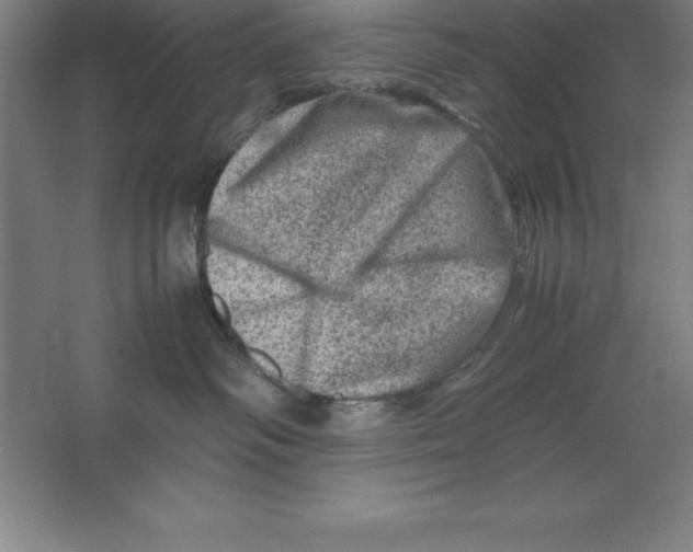 X0000062130334200512301508